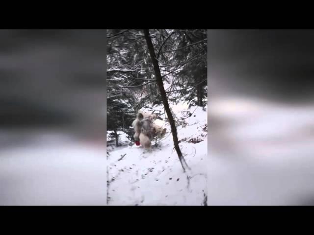 Yeti vs Йети. Всегда на вершине со ŠKODA Yeti!