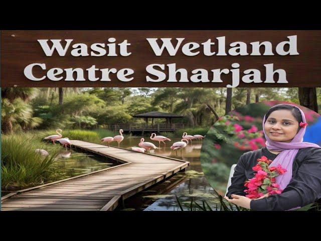 Hidden gem in sharjah | Wasit Wetland Centre | Best place to visit in Uae | Sheri' s world of taste