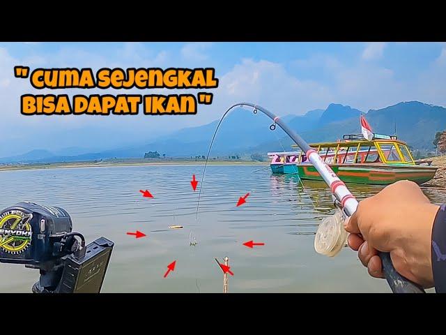 DI SAMPING PERAHU INI SARANG IKAN‼️  || mancing ikan nila di waduk selorejo ngantang