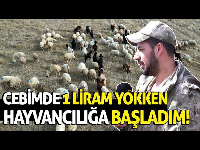 Cebimde 1 Liram Yokken Hayvancılığa Başladım!