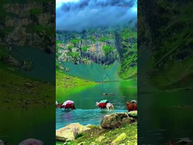#trendingshorts#naran#kaghan#viralshort#nathiyagali#hazara #pakistan