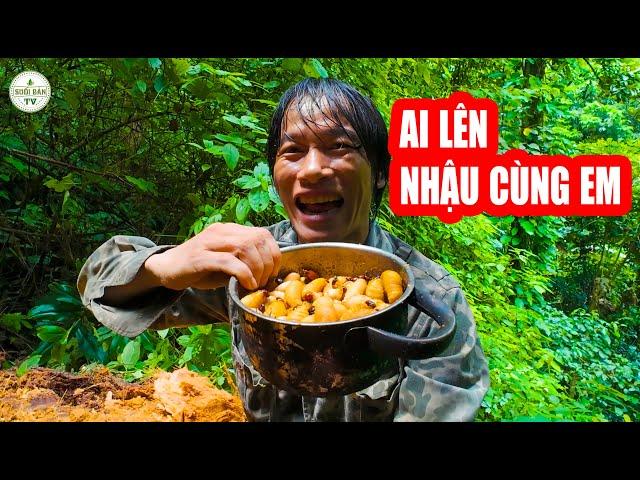 Lúc Nhúc Toàn Sâu Dưới Gốc Cây Mục Nhặt Lấy Một Nồi  To  Nhưng Thiếu Bạn Nhậu  Suối bản tv