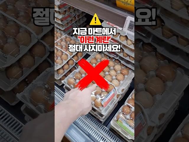 마트에서 절대 이런 계란 사면 안됩니다! 좋은 계란 고르는 법과 계란 고르기 꿀팁