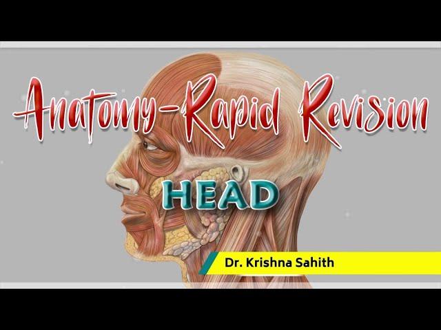Anatomy of Head Rapid Revision - Dr Krishna Sahith