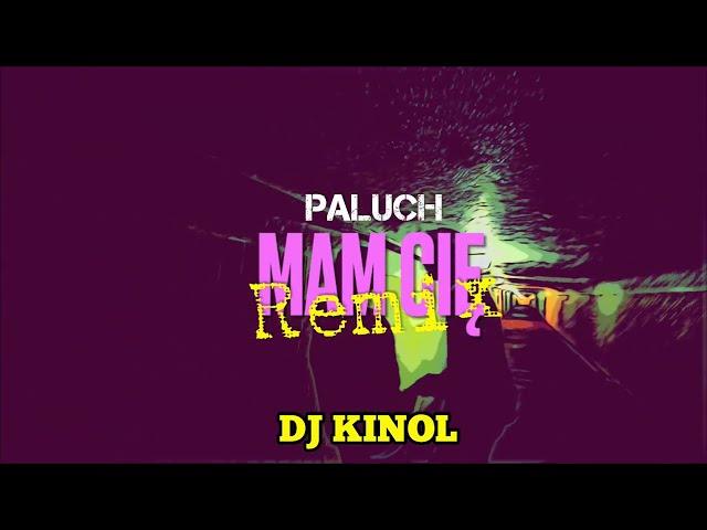 Paluch - Mam Cię ( DJ KINOL REMIX )