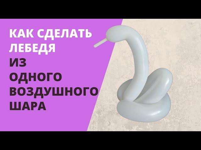 Как сделать лебедя из шарика