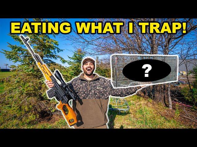 Trapping NASTY Predators at the LEASE!!! (Catch Clean Cook)