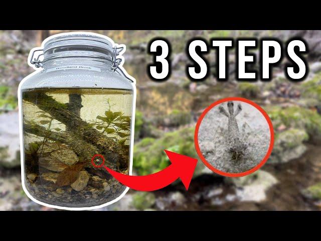 HOW TO Make An Ecosphere + What's Inside?