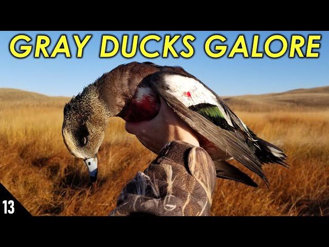 Gray Ducks GALORE! (Wigeon and Gadwall) | Nebraska Sandhills Duck Hunting 2019