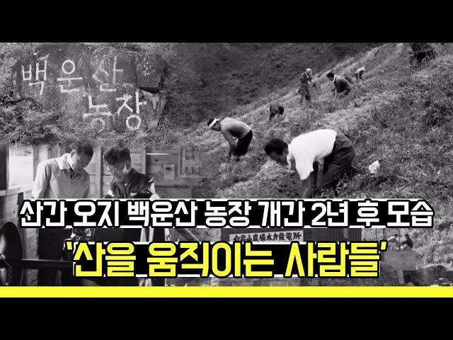 산간 오지 백운산 농장 개간 2년 후 모습 '산을 움직이는 사람들'