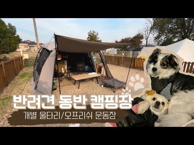 [vlog] 댕댕이천국!!!반려견전용 캠핑장 