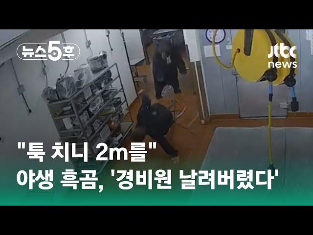 "툭 치니 2m를…" 리조트에 침입한 야생 흑곰, '경비원 날려버렸다' #쇼츠트랙 / JTBC 뉴스5후