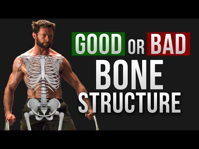 How Good is your BONE STRUCTURE | Vitruvian Model of Genetics