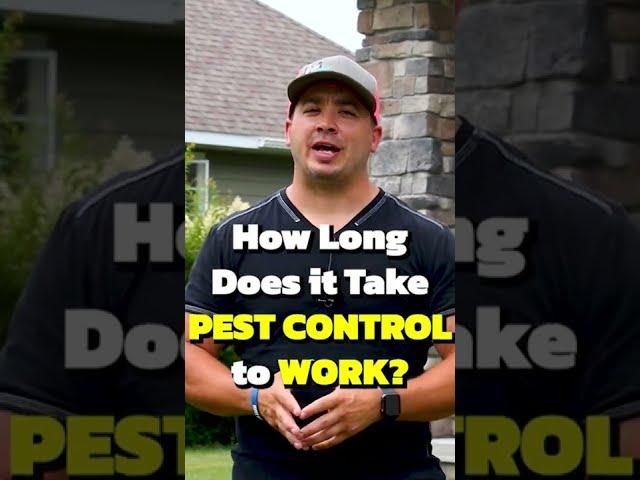 How Long Does Pest Control Take to Work?