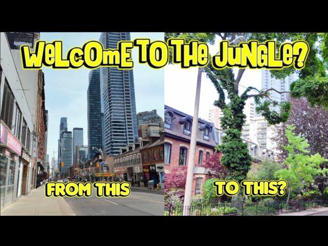 Is Toronto A Concrete Jungle? A Walk Along Several Heavily Treed Yet Dense Downtown Side Streets