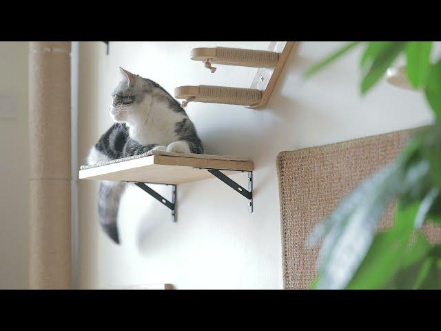 FUKUMARU CAT WALL FURNITURE - Wall Jungle Series