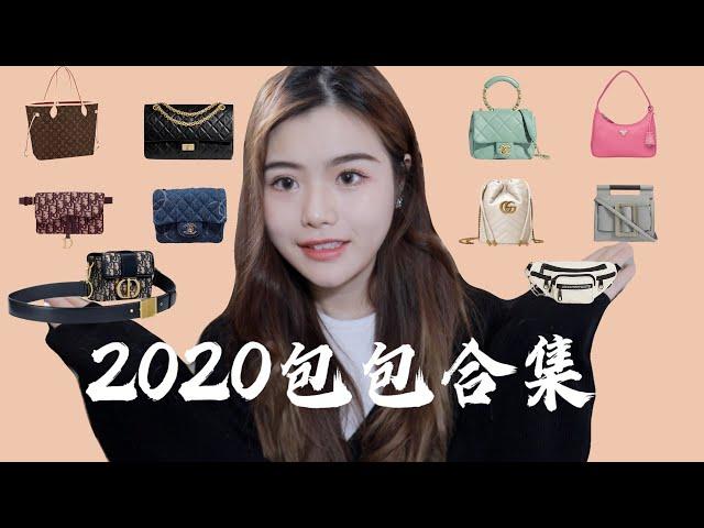 2020年度包包合集｜10只大牌奢侈品包包&小众包优缺点｜踩雷热门款｜香奈儿Chanel｜Dior｜Gucci｜LV｜Prada｜AW｜BOYY｜2020 Handbag Collection