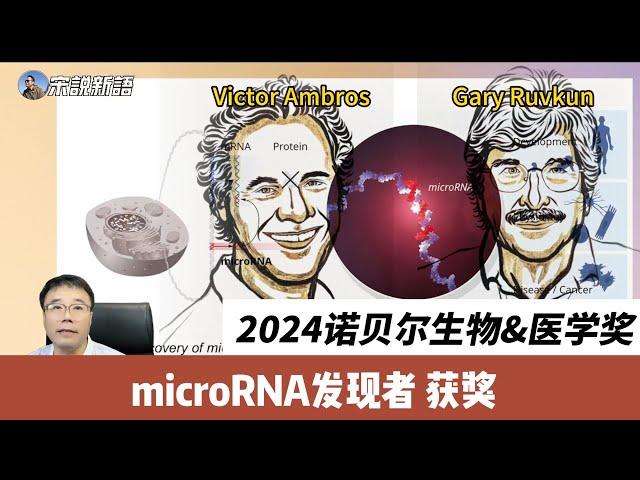 The Mighty Power of Tiny RNA: The Story Behind the 2024 Nobel Prize in Medicine