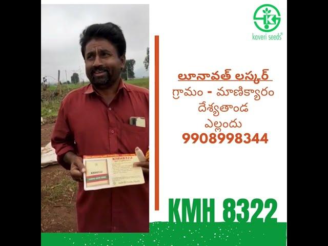 KMH8322 Kaveri Seeds #maizecultivation #kharifcrops #8322 #trending #trendingshorts #trendingstatus