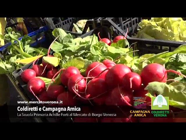 Progetto scuola Campagna Amica e Coldiretti Verona
