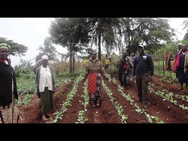 Scientific Animations Without Borders on Drip Irrigation