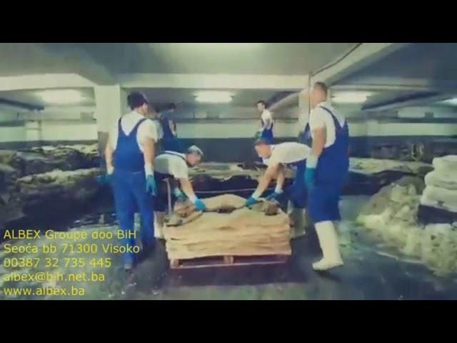 ALBEX Visoko BiH raw wet salted cattle hides Bosnia origin leather proccessing production