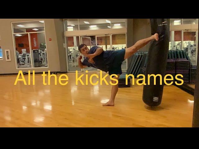 Names of all kickboxing kicks