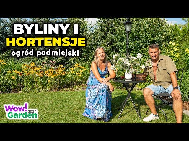 Podmiejski ogród pełen hortensji i bylin.
