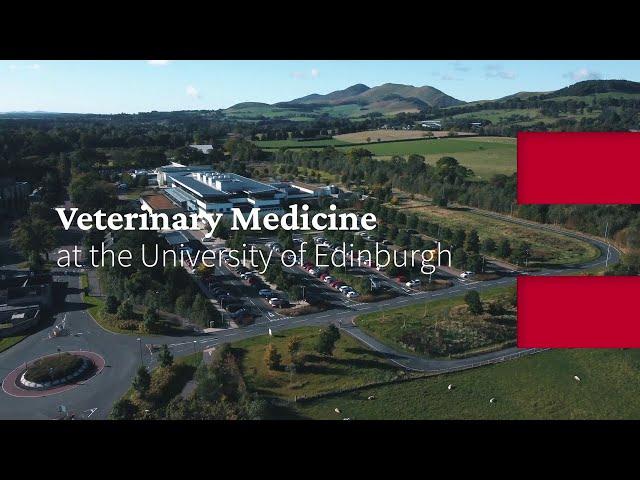 Veterinary Medicine at the University of Edinburgh (2023-4)