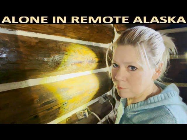 Sounds of Daily Life Alone in a Remote Cabin - My Self Reliance Style