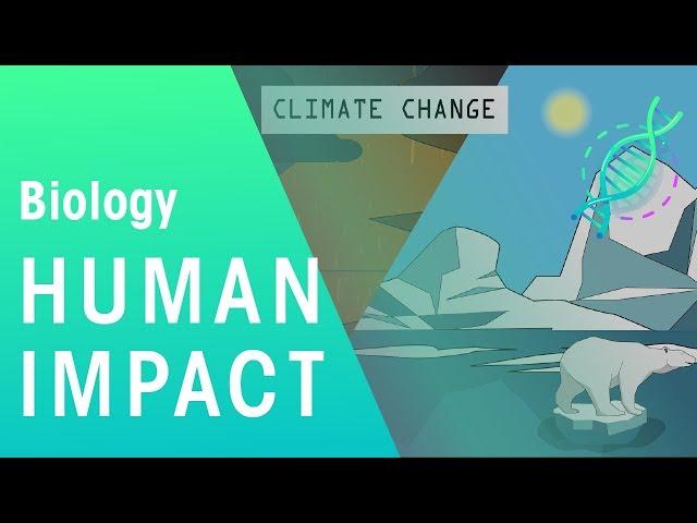 Human Impact | Environment | Biology | FuseSchool