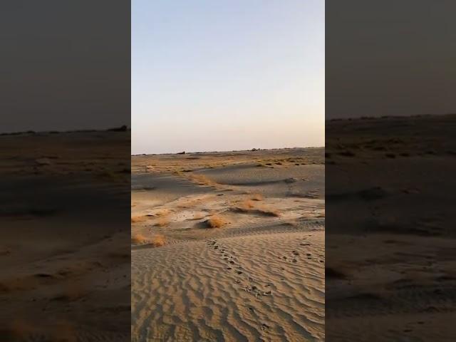 #البر #بوح #ذوقي_للناس_الرايقه #شيلة#شعر #مختارات #اجمل_الشيلات #خواطر