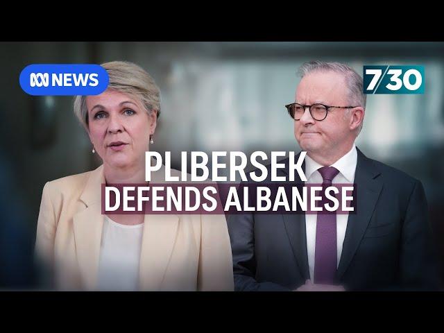 Tanya Plibersek defends Albanese's $4.3m property purchase as federal EPA creation stalls | 7.30