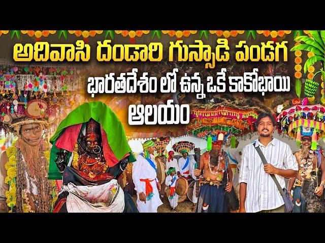 Dandari gussadi festival in telangana | Sri padmalpuri kakobhai temple |Adivasi culture