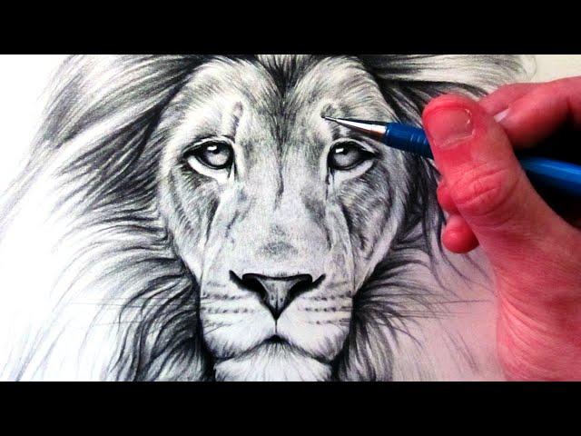 How to Draw a Lion