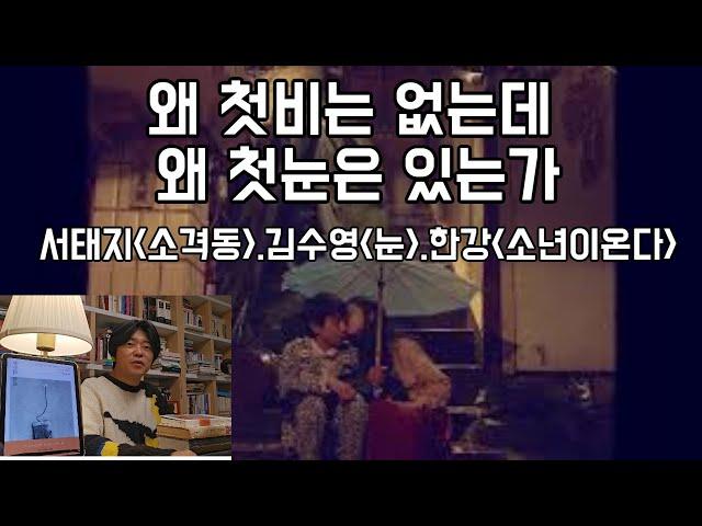 왜 첫비는 없는데 첫눈은 있는가(함돈균의 뉴스쿨)