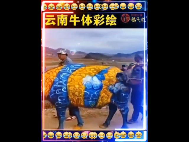 （ 創意逗趣短片 ）2024-11-21 週四