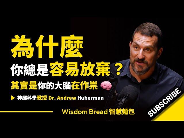 爲什麼你總是容易放棄？ ► 其實是你的大腦在作祟 - Dr. Andrew Huberman 安德魯．胡伯曼博士（中英字幕）