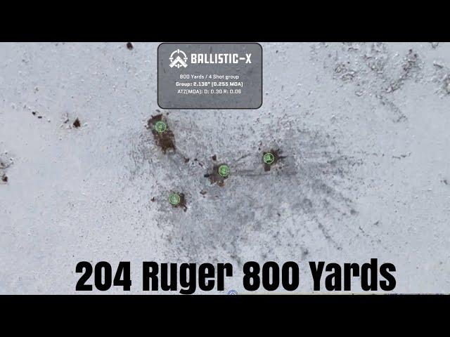 Sako 204 Ruger 800 Yards