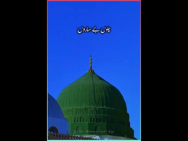 Eid e Milad Mubarak | Jashn e Milad 2024 | Hafiz Ahmed Raza | Milad Status | #shorts #trending 2024