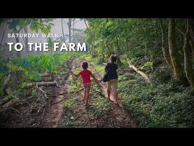 NO CAR? NO PROBLEM | GETTING TARO FOR SUNDAY WITH THE KIDS | SAMOANFARMER