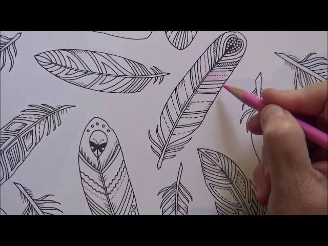 How To Color Feathers From The Enchanted Forest Coloring Book Lisa Brando Extreme Coloring Tutorial