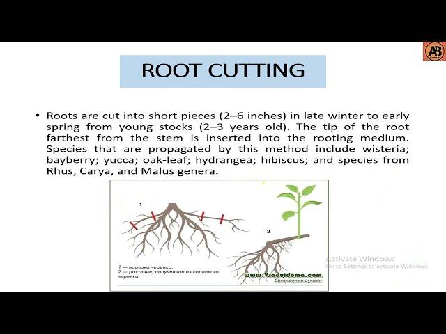 Types of Cuttings ।। "Learn with AB Tusar"