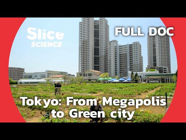 Tokyo: reinventing the planet’s biggest metropolis through nature | SLICE SCIENCE | FULL DOCUMENTARY