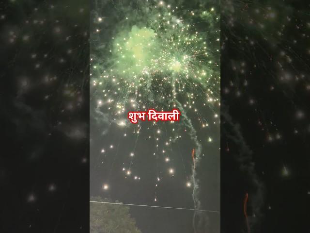 Penta Skyshot Cornation #crackers #diwali2024 #shorts #diwali #viralvideo