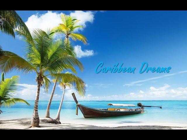   Best Tropical, Caribbean, and Steel Drum Music #steeldrums