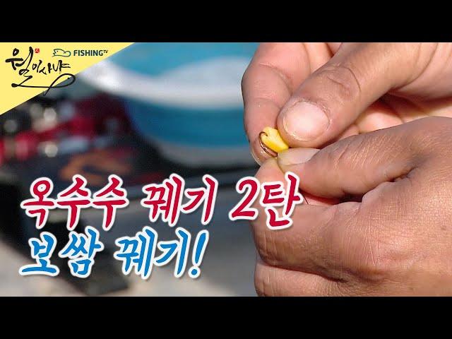 [민물낚시 Tip] 옥수수 꿰기 2탄 (옥수수 보쌈 꿰기)