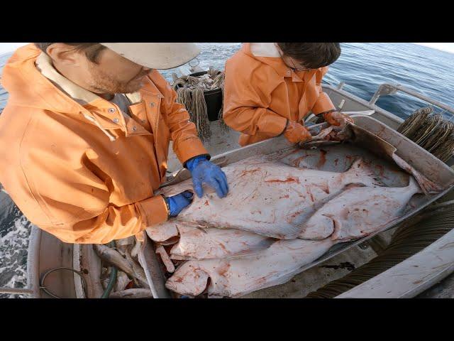 The Deckhands Try a New Station! | Alaska Halibut Fishing