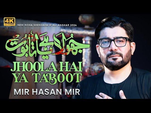 Jhoola Hai Ya Taboot Tumhara Ali Asghar | Mir Hasan Mir Nohay 2024 | Muharram 2024/1446