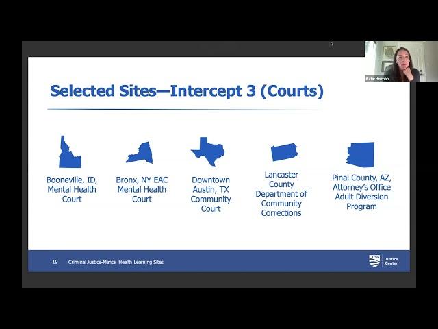 Meet the New Criminal Justice-Mental Health Learning Sites